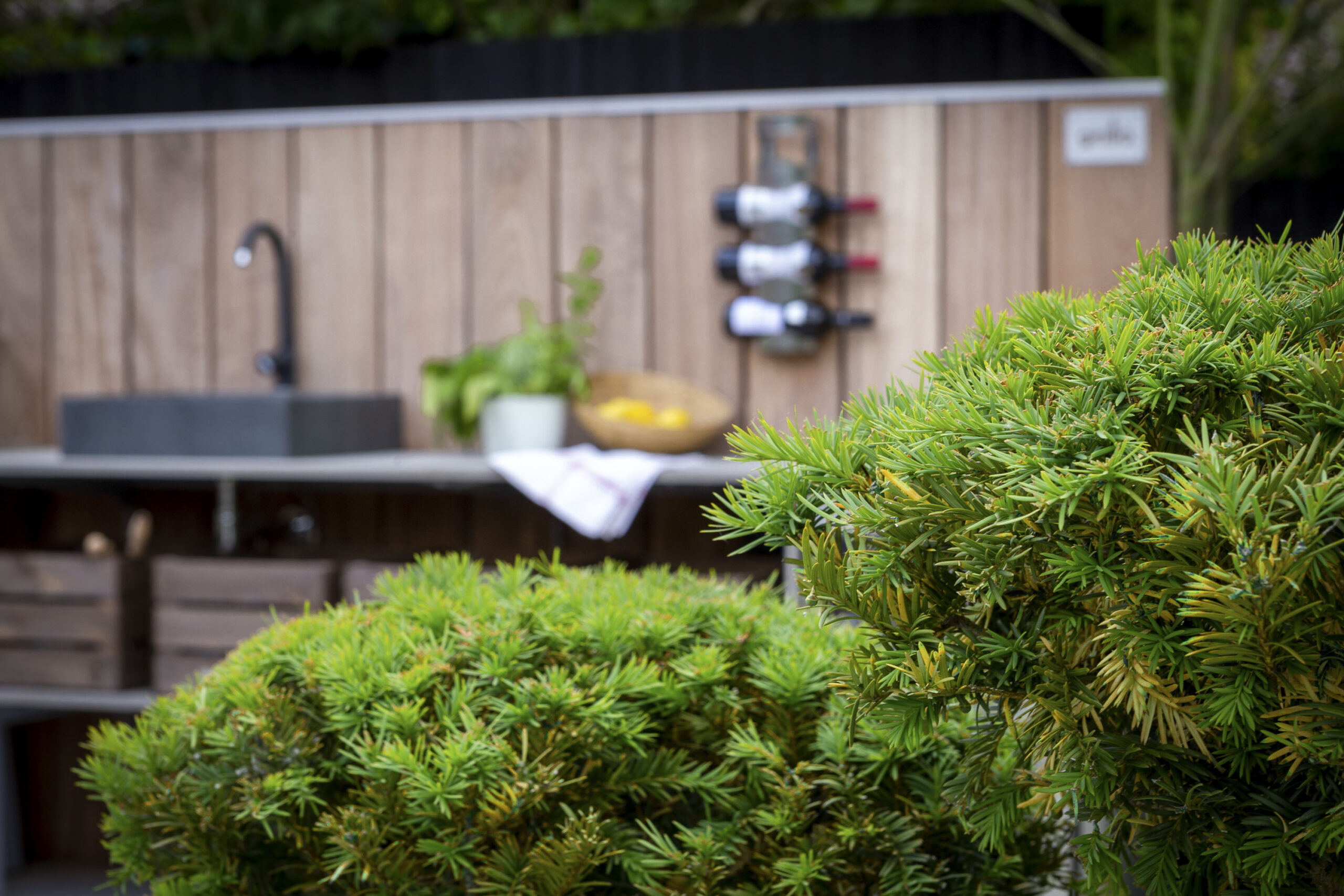 Modern garden and outdoor eating space design