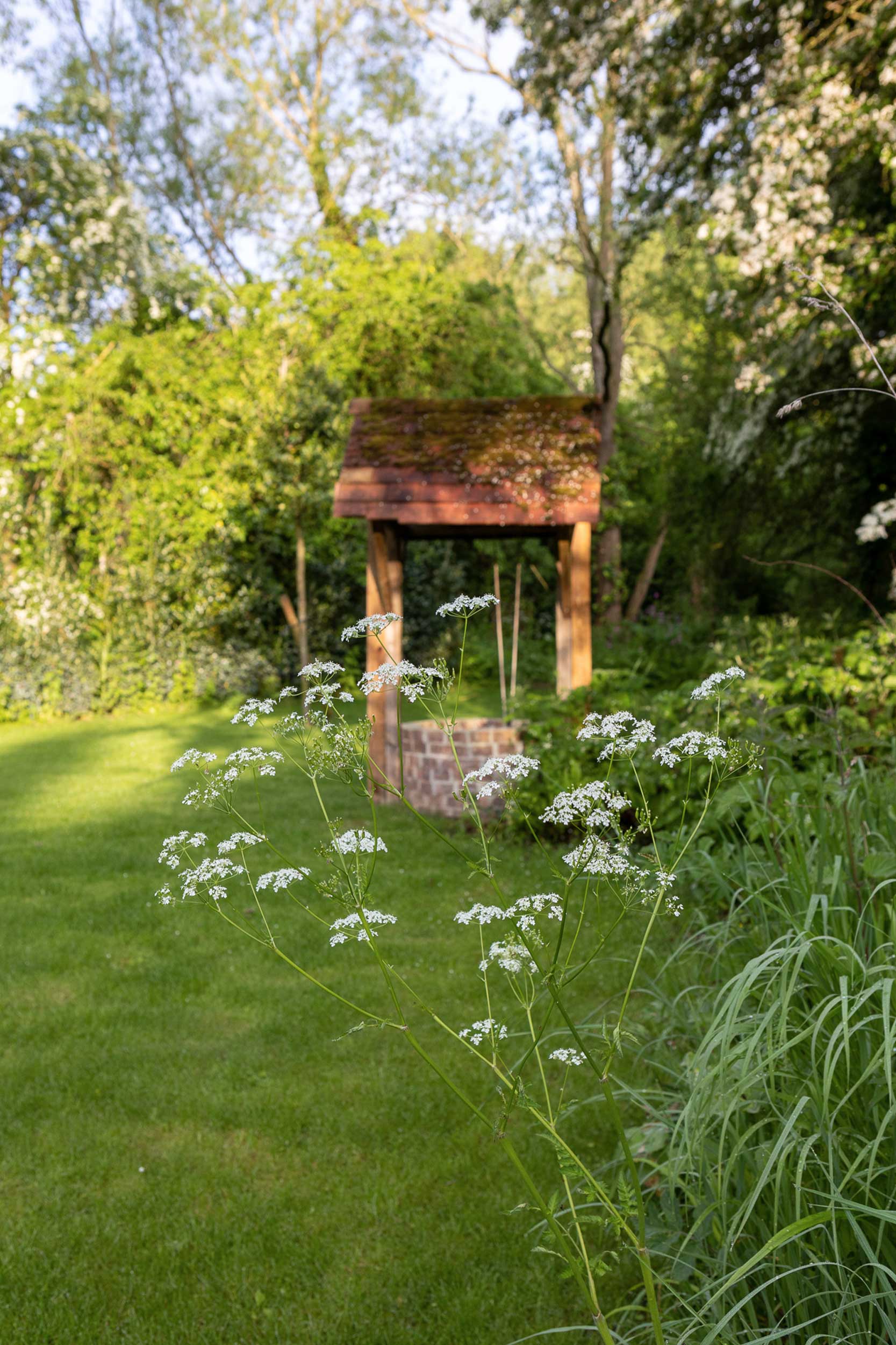 Meadow View Wildlife Garden-LR-17-de-sat