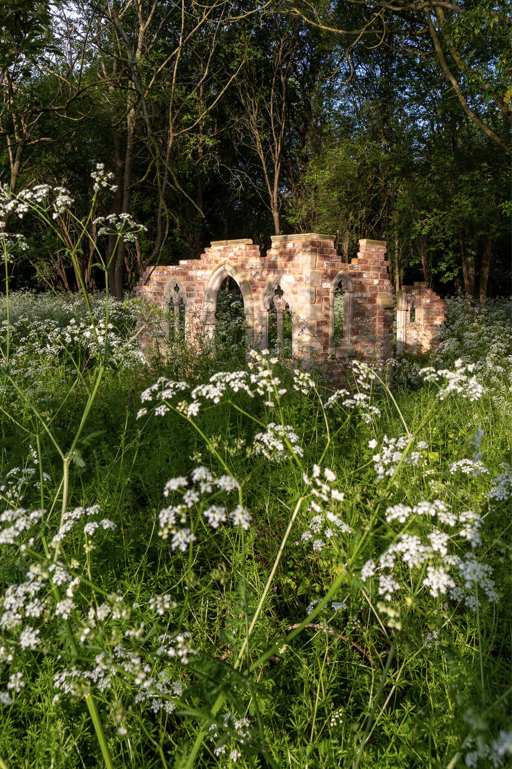 Meadow View Wildlife Garden