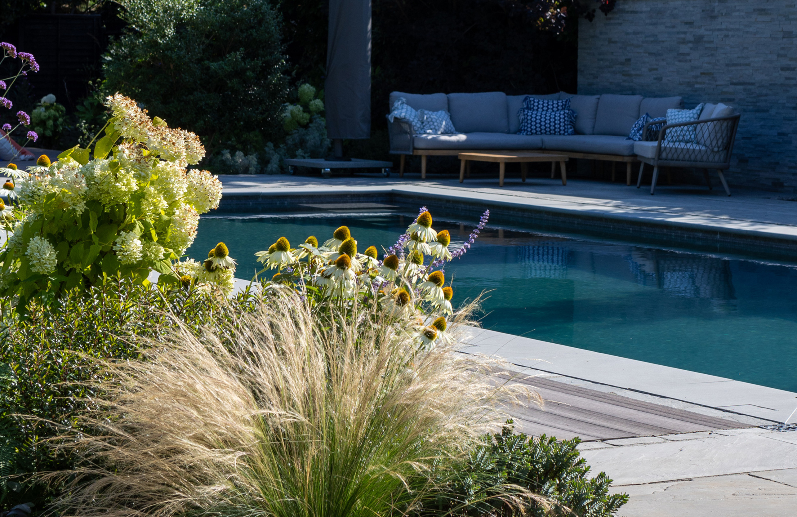 Stipa tennuissima mixed into a perennial bed by the pool